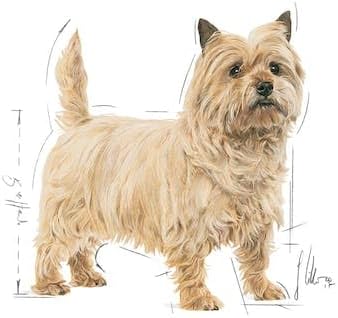 Royal Canin Light Weight Care Adult Dog Wet Pouches 85g