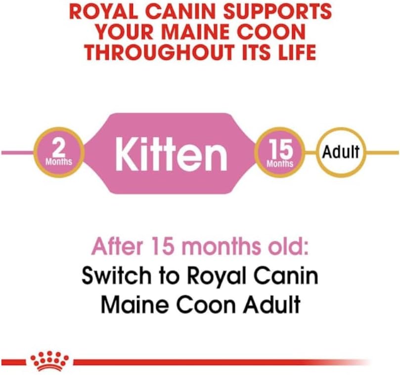 Royal Canin Maine Coon Kitten | 4 Pack | 4 x 400g | Complete Food for Maine Coon Kitten | Up to 12 Months of Life