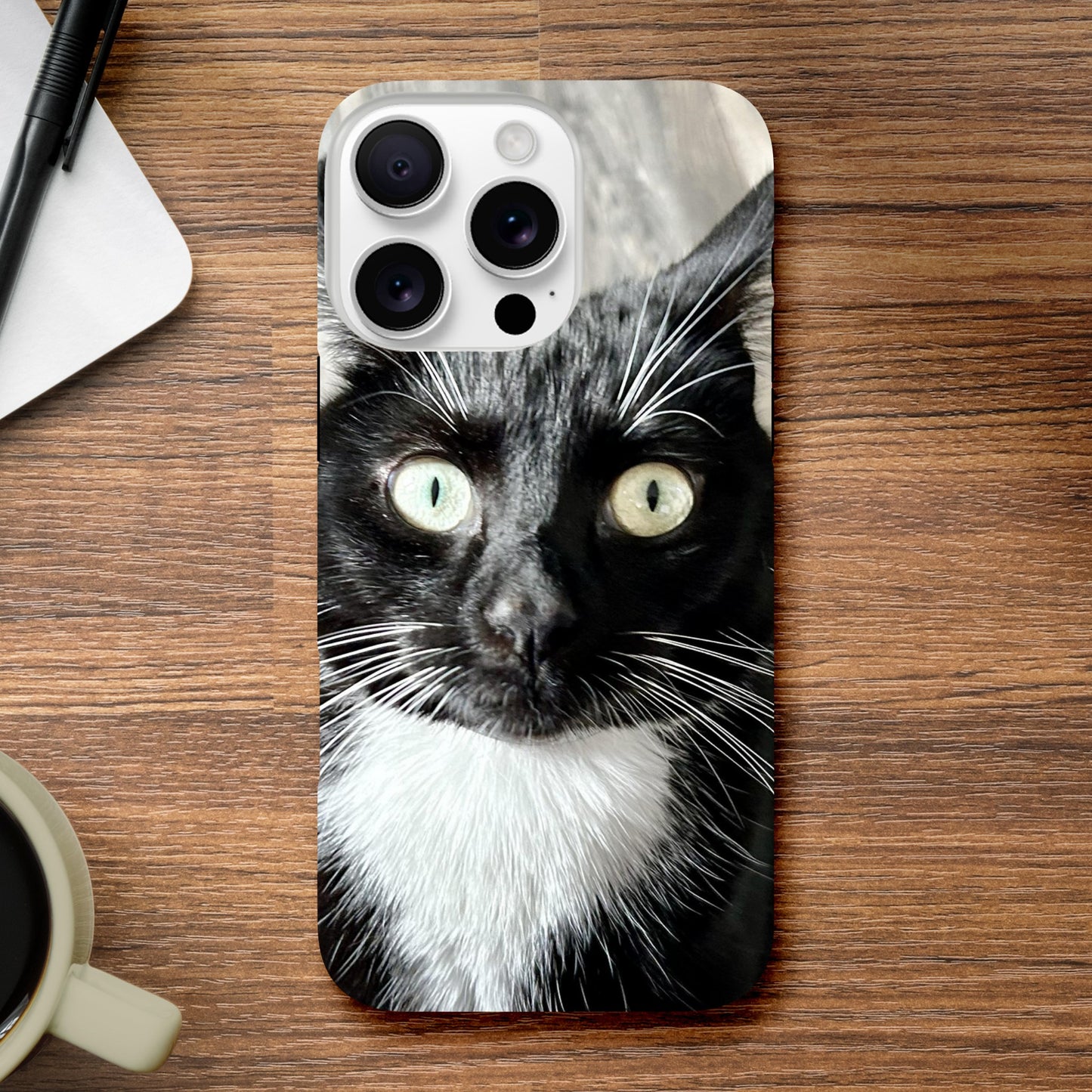 583d21c6-2f93-45a0-b043-f1f6c4e98f4c