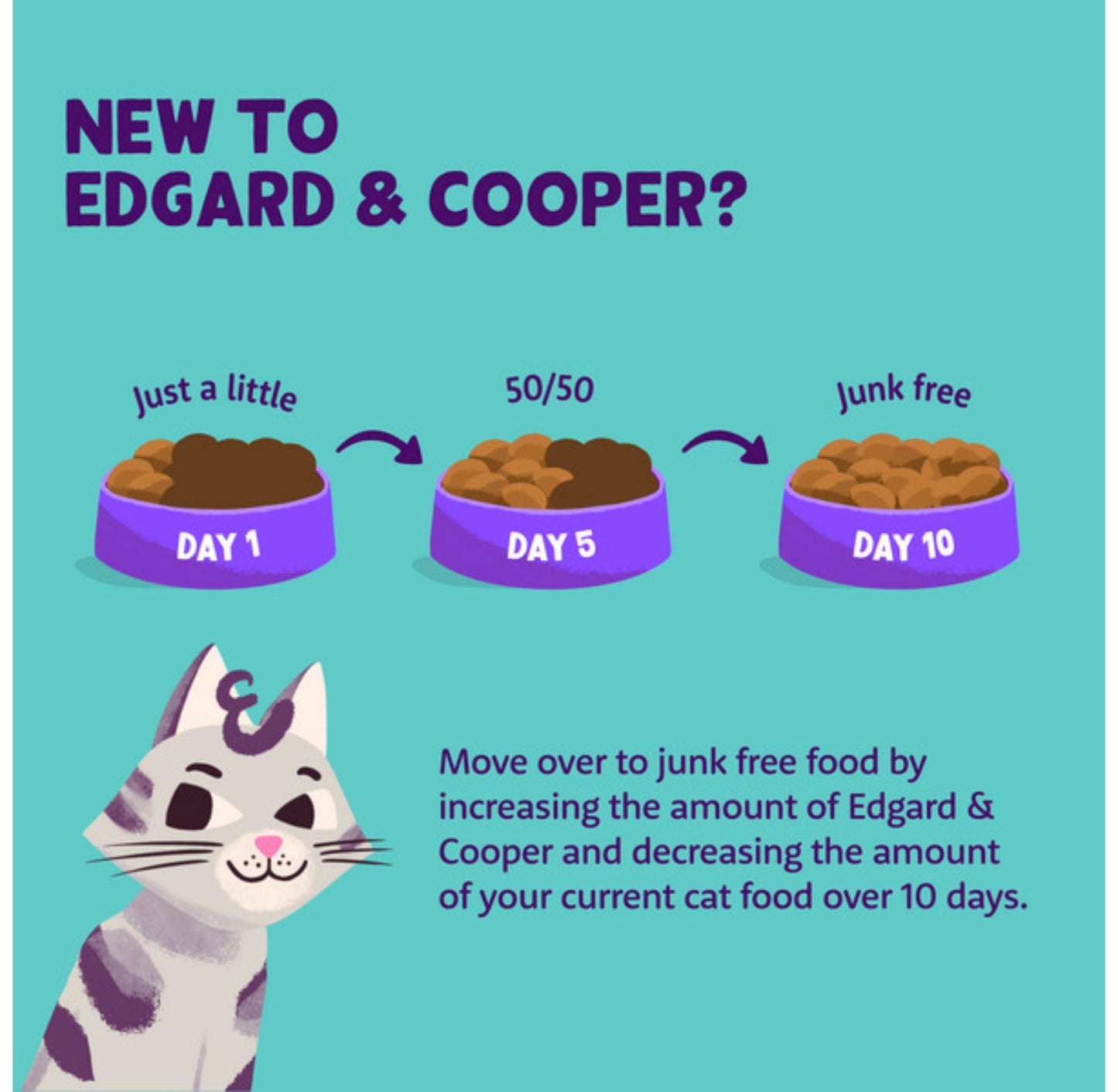 Edgard Cooper Grain Free Wet Cat Food Pate for Adult Cats (Salmon&Chicken 16 x 85g), Natural Cat Food in Cup for Sterilized or Active Cats, Fresh Meat, No Added Sugar