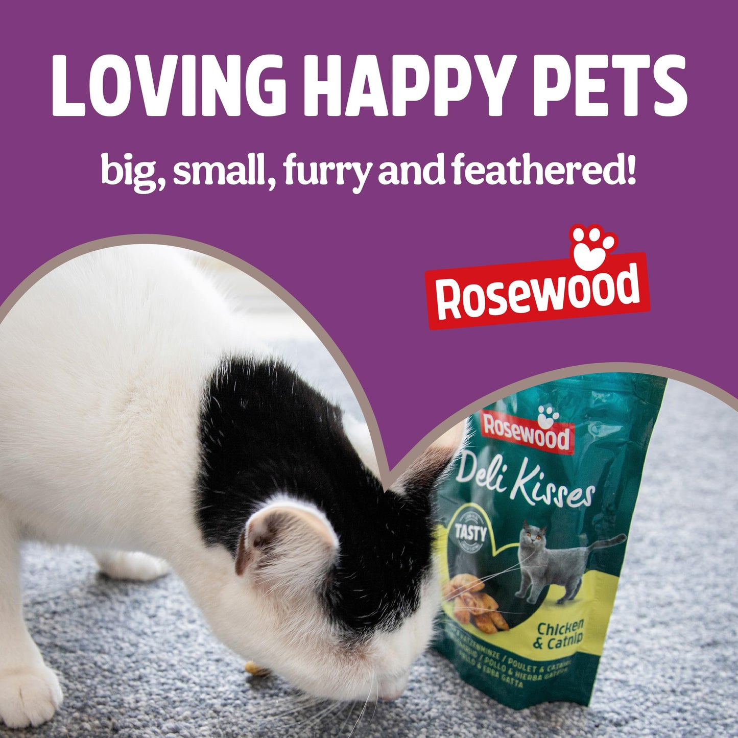 Rosewood Freeze Dried Chicken Bites for Cats - All Natural Chicken Fillet, Small, Bite-Sized Cat Treats, Grain-Free, Natural and Healthy Cat Snacks (Case of 12 x 15g Packs)