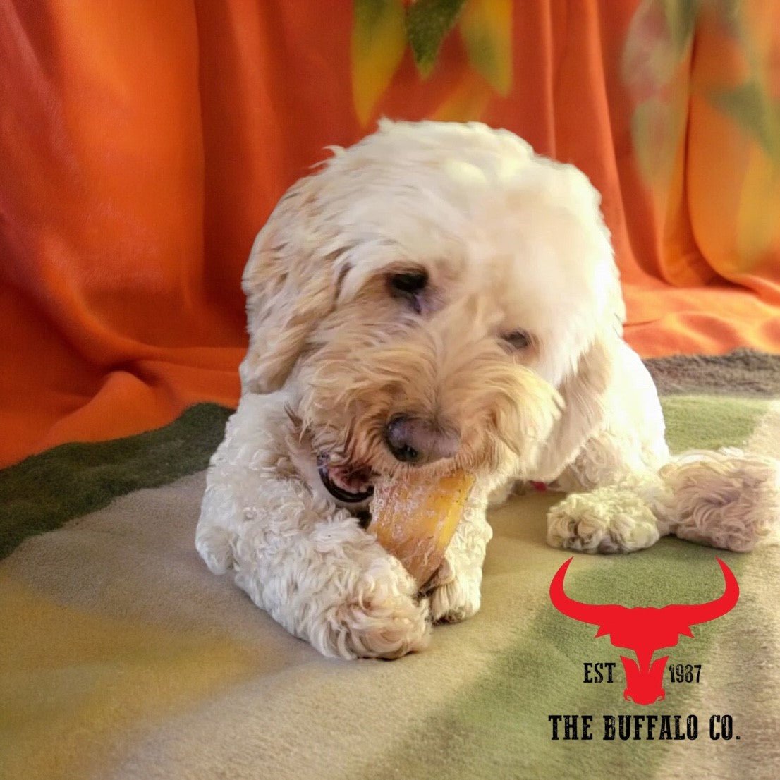 Buffalo Paddywack - Dog Treats - 1kg - Sayby’s