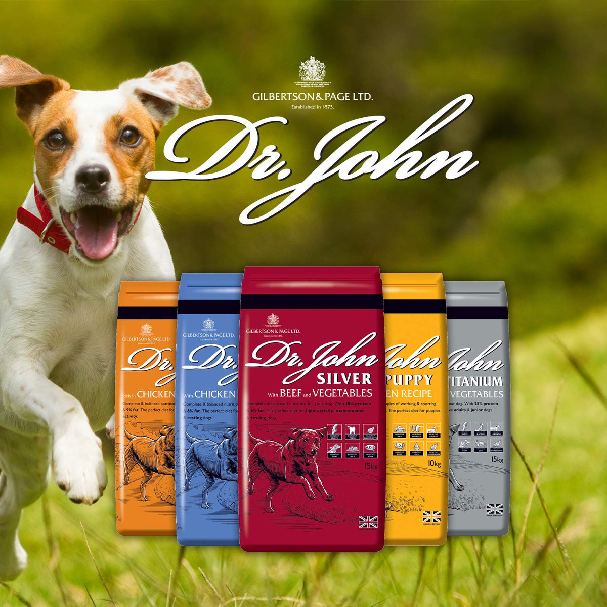 Dr John Hypoallergenic Dry Dog Food - Sayby’s