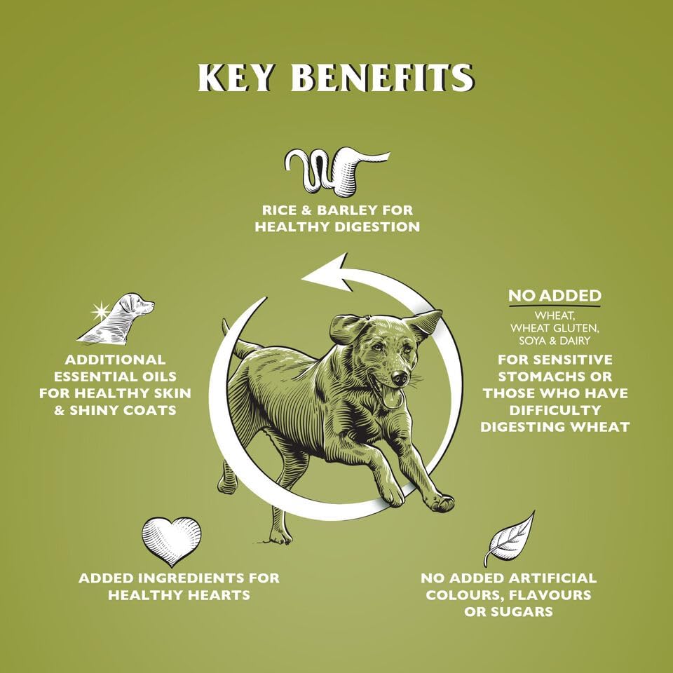 Dr John Wheat-Free Hypoallergenic Dry Dog Food - Lamb with Rice Dog Food 12.5kg - Complete Nutrition for Adult and Senior Dogs with Sensitive Digestion - Sayby’s