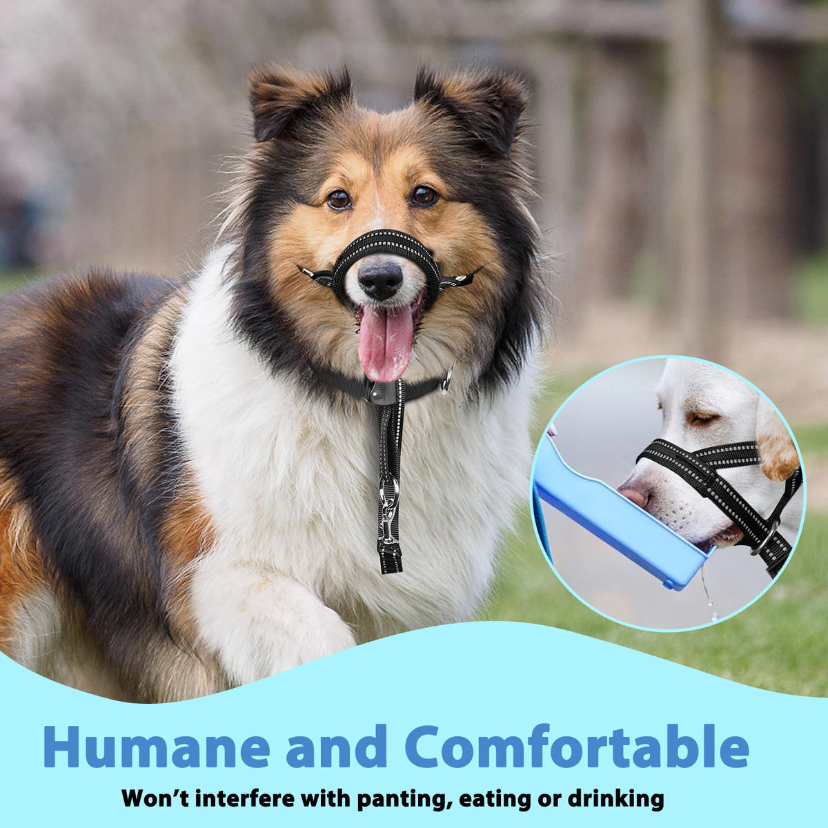 Mayerzon Dog Head Collar with Soft Padded, Gentle Leader for Medium Large Dogs, No Pull Head Harness, Anti Pull Adjustable Reflective Training Head Halter Collar (M) - Sayby’s