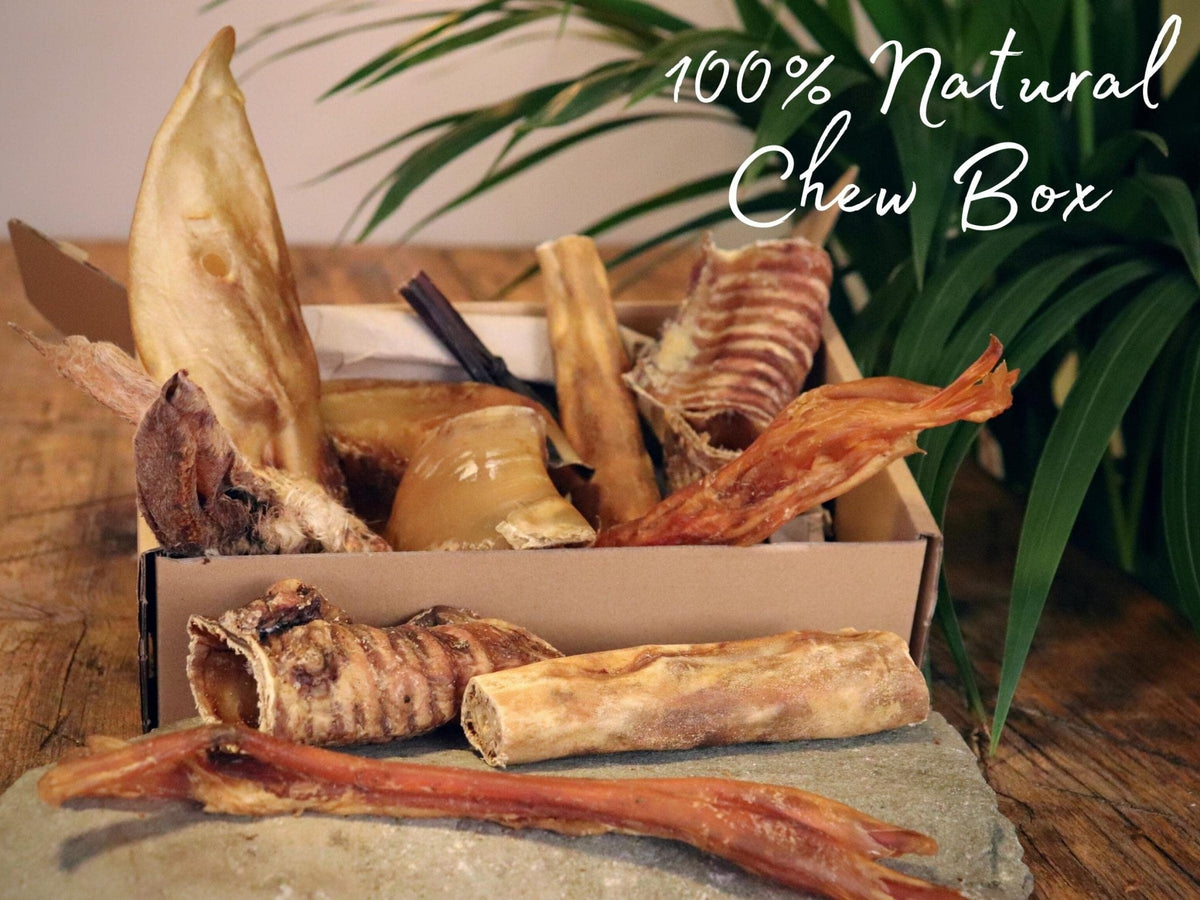 Natural Dog Chews, Tasty Long Lasting Variety Box of Doggy Chews, All Natural Treats - Chewy Yummy Chews for Adult Dogs (Large) - Sayby’s