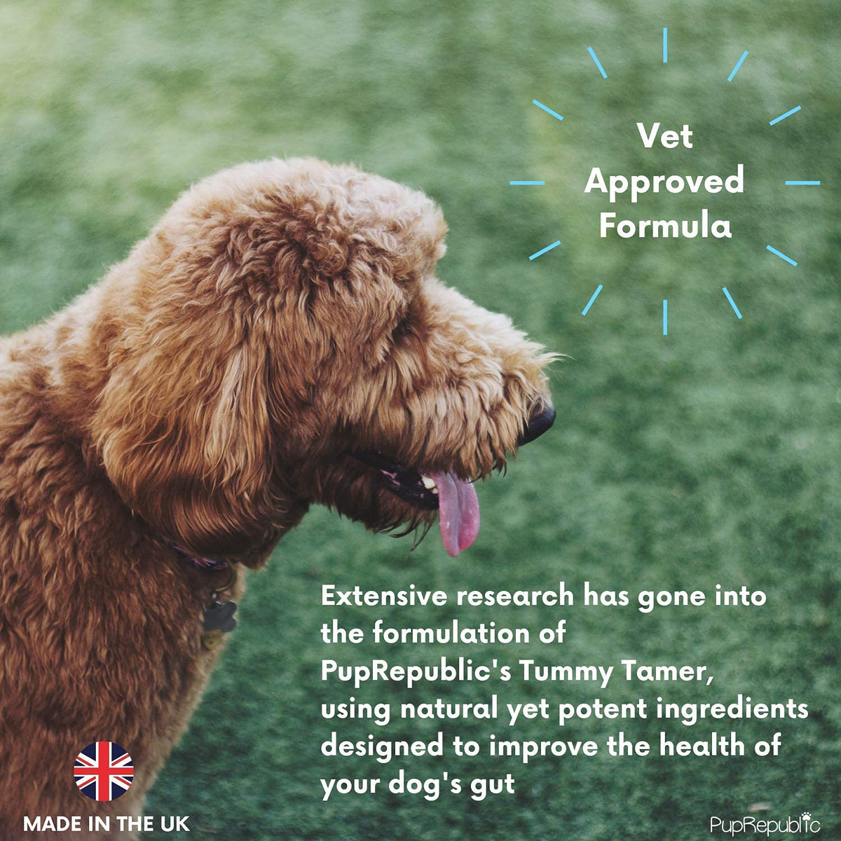 PupRepublic Fast Acting dog diarrhea treatment - Digestive Disorders - More Effective than Kaolin - Sickness & Allergy Relief for Dogs of All Breeds & Sizes - Sayby’s