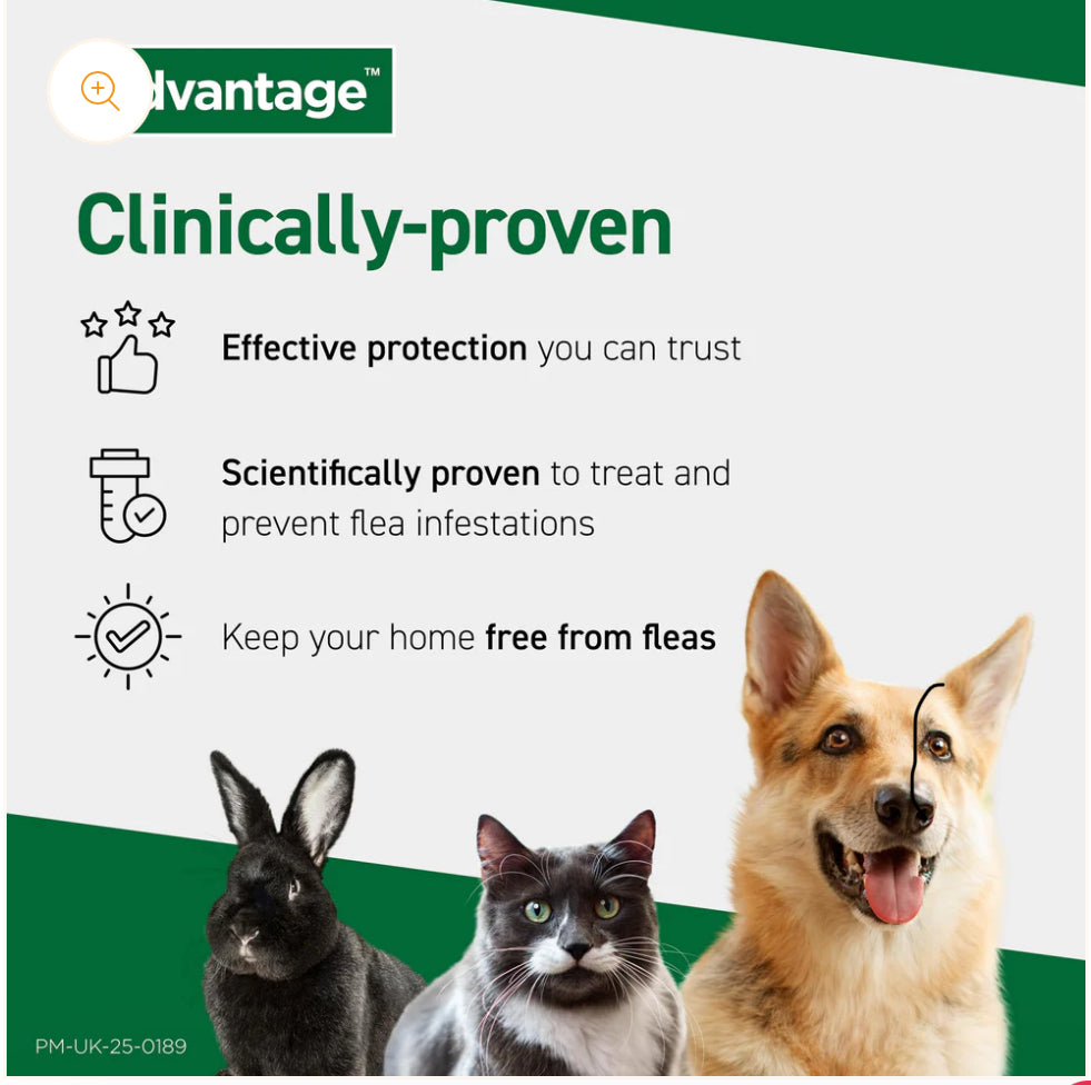 Flea/Tick and Wormer Treatments