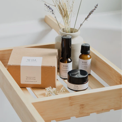 Mini-me Shampoo, Conditioner and Fragrance - Sayby’s Sanctuary 