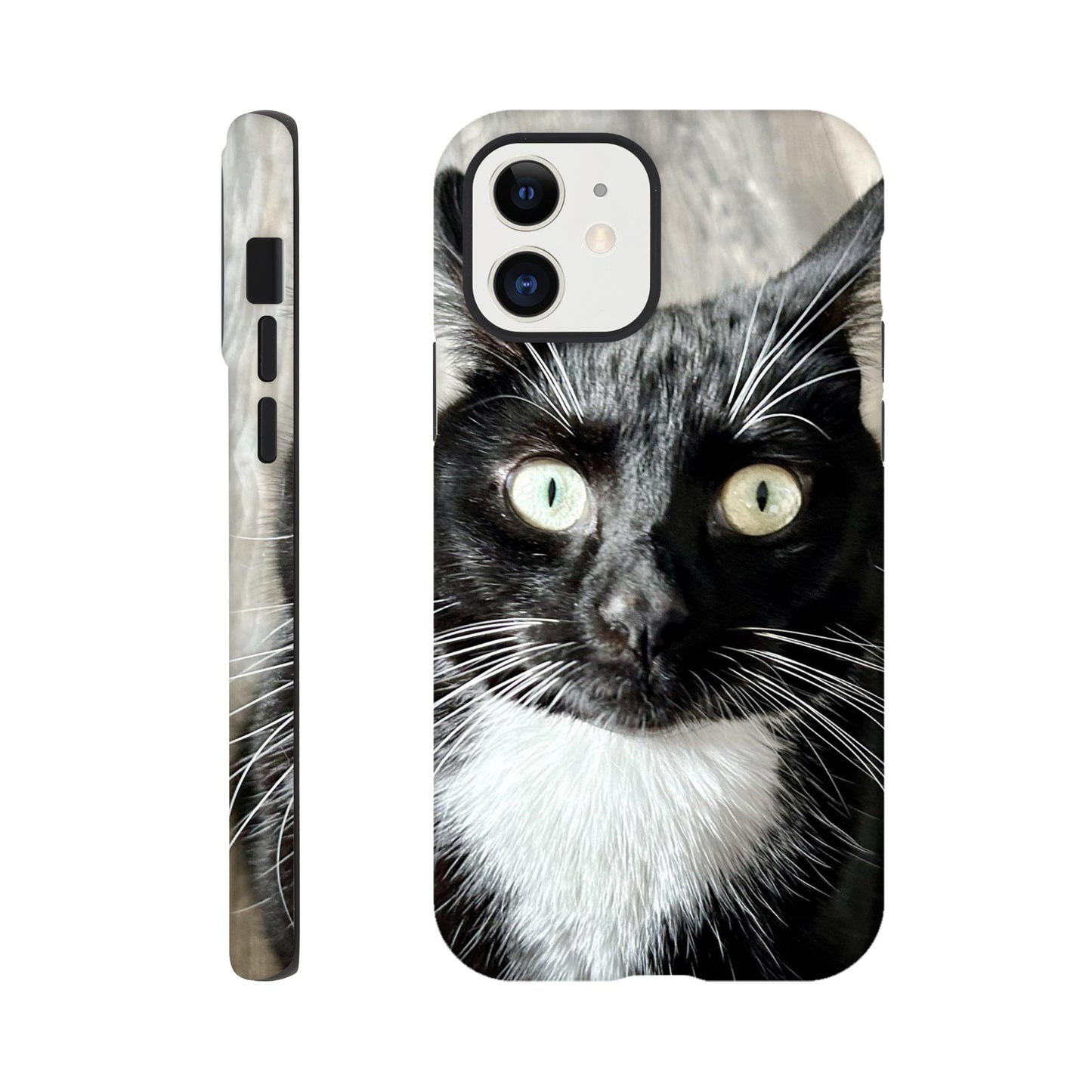 1c9450a0-b6cf-454f-8cb7-9ac3a44ef185