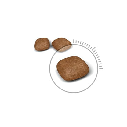 Urinary Care Cat Food 2kg
