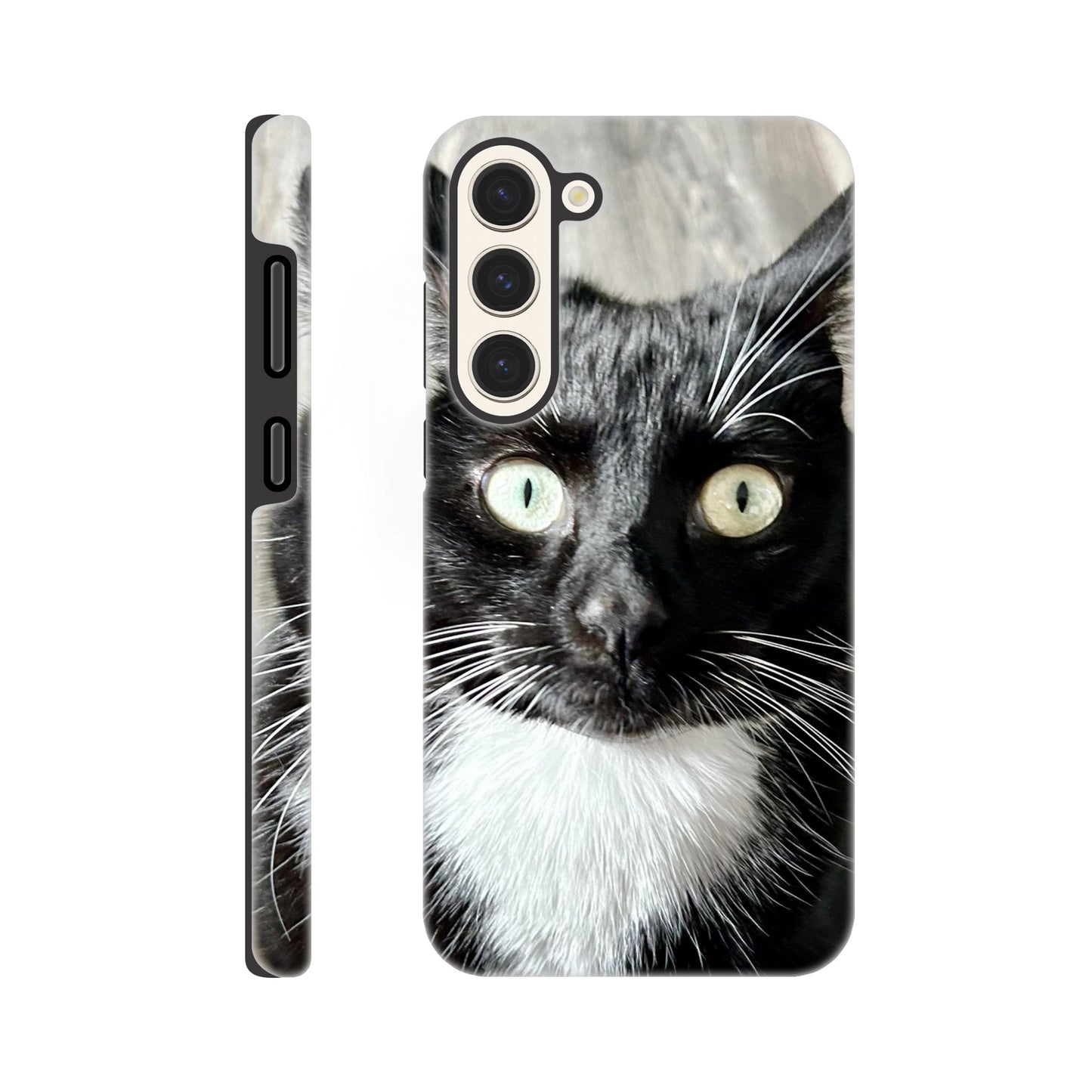 224f3fac-5420-470c-8176-a8e301843c96