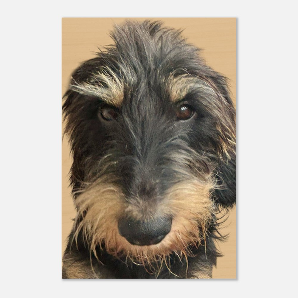 27cd9c88-a23c-4469-b743-8171a4954d36