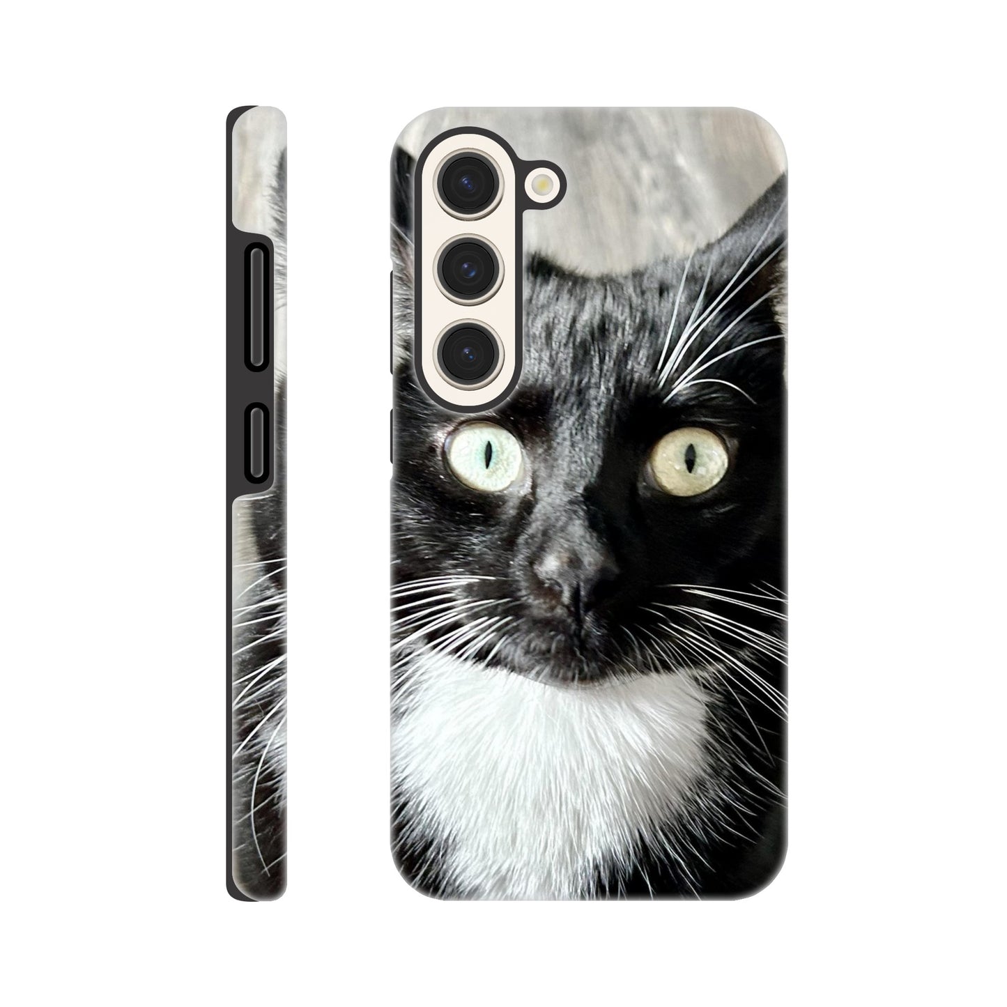 28110eeb-28da-4acd-8f6d-c62f9f02f6f0