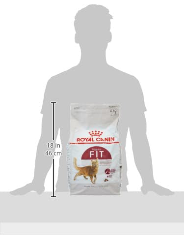 Royal Canin Fit 32 Cat Food, Dry Mix, 2kg