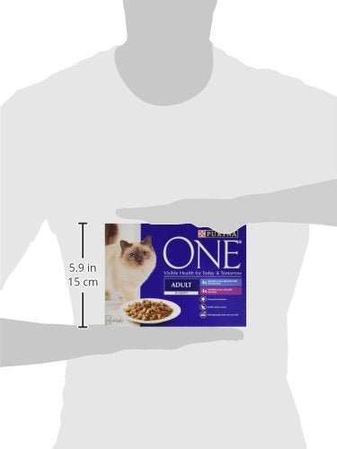 PURINA ONE Adult Cat Food Mini Fillets in Gravy 40 x 85g