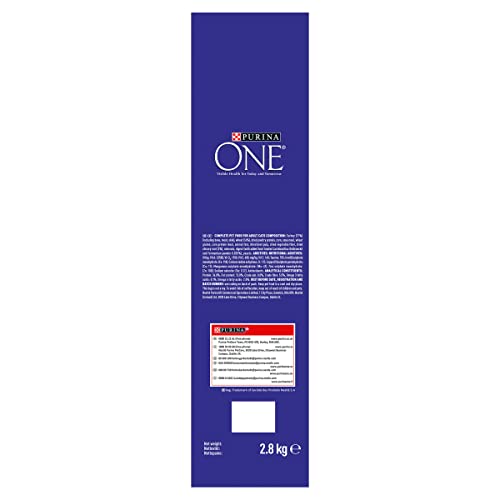 PURINA ONE Dry Cat Food