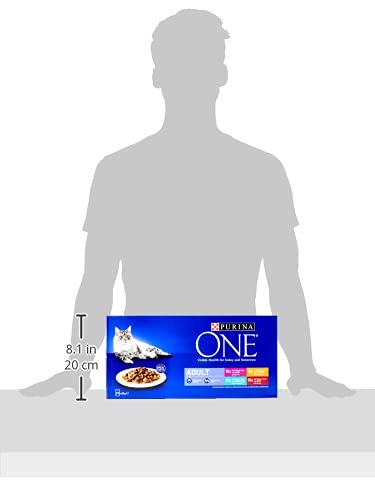 PURINA ONE Adult Cat Food Mini Fillets in Gravy 40 x 85g