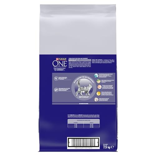 PURINA ONE Dry Cat Food