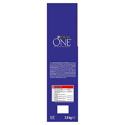 PURINA ONE Dry Cat Food