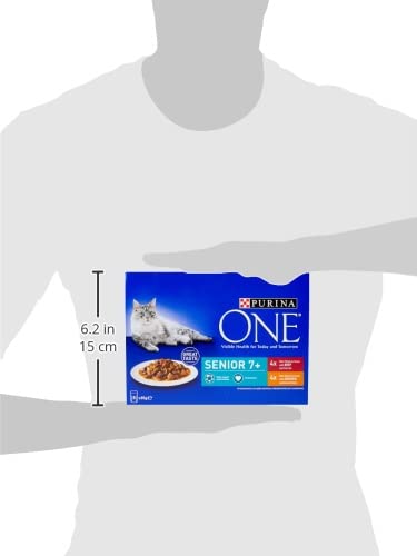 PURINA ONE Adult Cat Food Mini Fillets in Gravy 40 x 85g