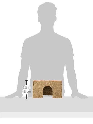 Rosewood Naturals Large Carrot Cottage for Small Animals - Edible Toy, Hay House, Den and Hideout for Rabbits, Guinea Pigs and Chinchillas