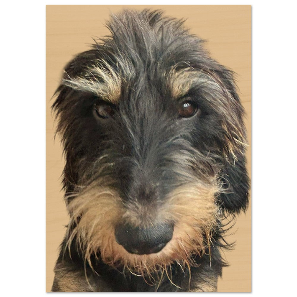 390a7574-f557-404e-9619-296b30e678e8