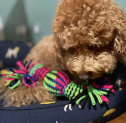 String Rubber Squeaky Rope Tug toy - Sayby’s Sanctuary 