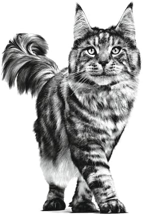 ROYAL CANIN Urinary Mc Cat Food, 1.5 kg