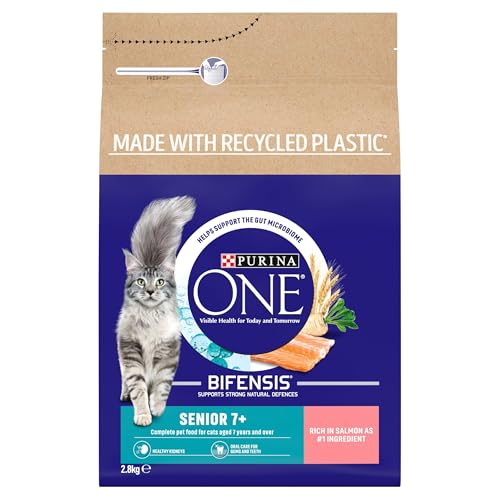 PURINA ONE | Dry Cat Food