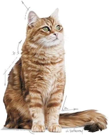 Royal Canin Cat Food Digestive Comfort Dry Mix 2 kg