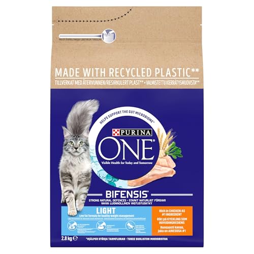 PURINA ONE | Dry Cat Food