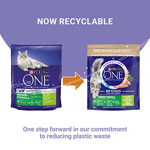 PURINA ONE Dry Cat Food