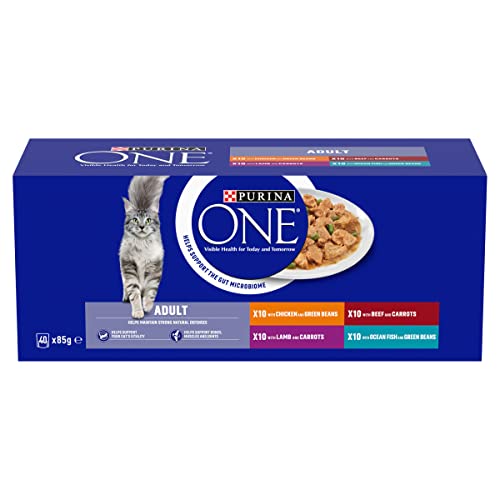 PURINA ONE Adult Cat Food Mini Fillets in Gravy 40 x 85g