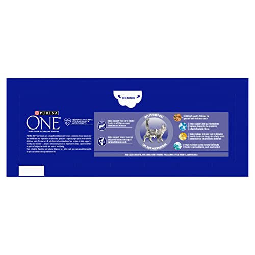 PURINA ONE Adult Cat Food Mini Fillets in Gravy 40 x 85g