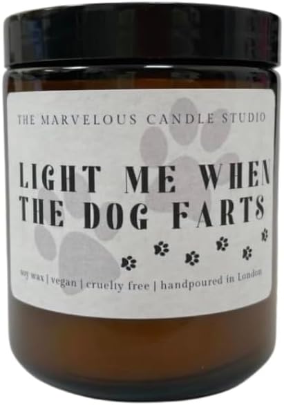 Dog Fart Buster Scented Soy Candle | Funny Pet Lover Gift | Vegan Home Fragrance | Gag Gift for Animal Parents | Novelty Odor Eliminator Candle - (Dog Farts)