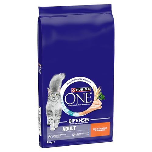PURINA ONE Dry Cat Food
