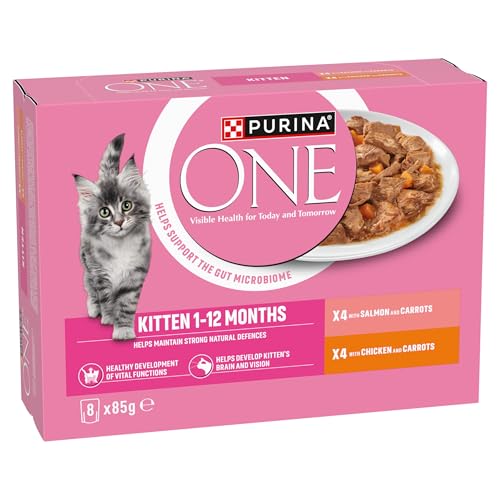 PURINA ONE Adult Cat Food Mini Fillets in Gravy 40 x 85g