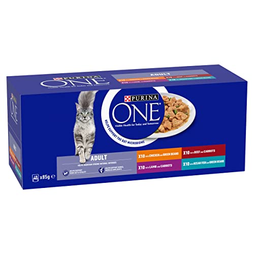 PURINA ONE Adult Cat Food Mini Fillets in Gravy 40 x 85g