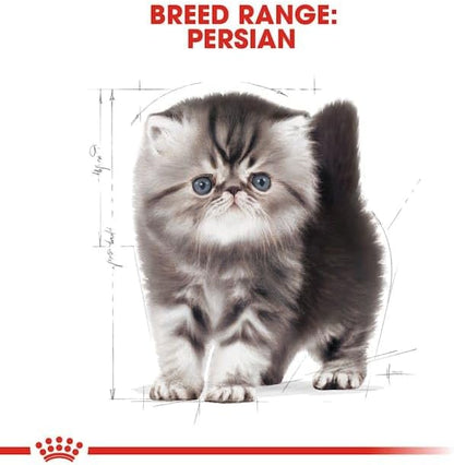 Persian Kitten Cat Food