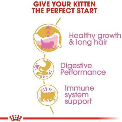 Persian Kitten Cat Food