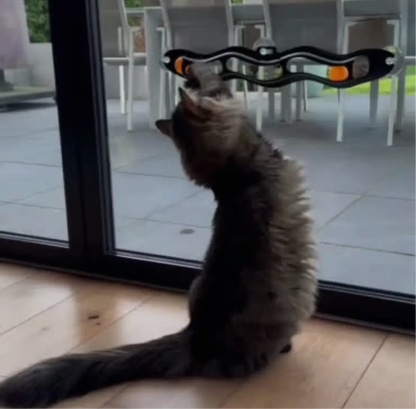 Interactive Window Track Cat toy - Sayby’s Sanctuary 