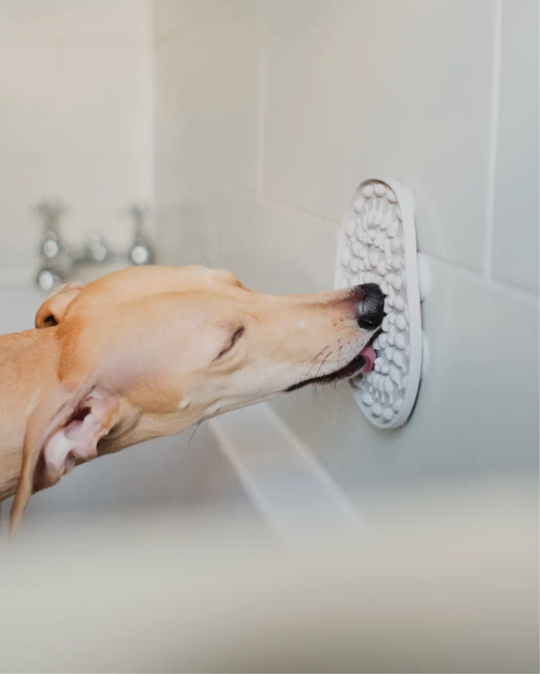 Bathtime Buddy Lickmat - Sayby’s Sanctuary 