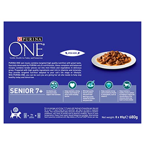 PURINA ONE Adult Cat Food Mini Fillets in Gravy 40 x 85g