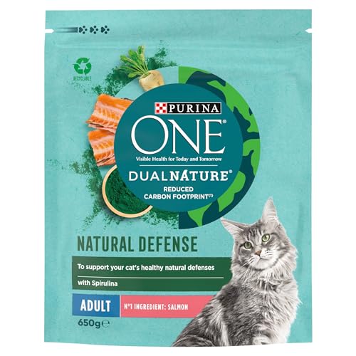PURINA ONE Dry Cat Food