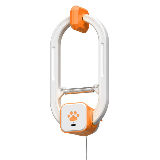 Interactive Rechargeable Cat Teaser Toy with Door Clip