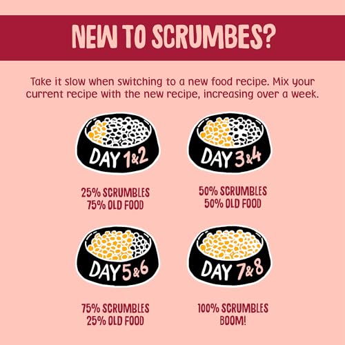 Scrumbles All Natural Dry Cat Food With 75% Chicken and Fresh Salmon, High Protein Food for Adults And Seniors