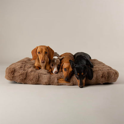 Scruffs Luxury Alpine Box Bed For Dogs or Cats (M)
