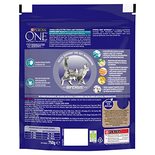 PURINA ONE Dry Cat Food