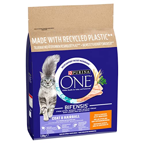 PURINA ONE Dry Cat Food